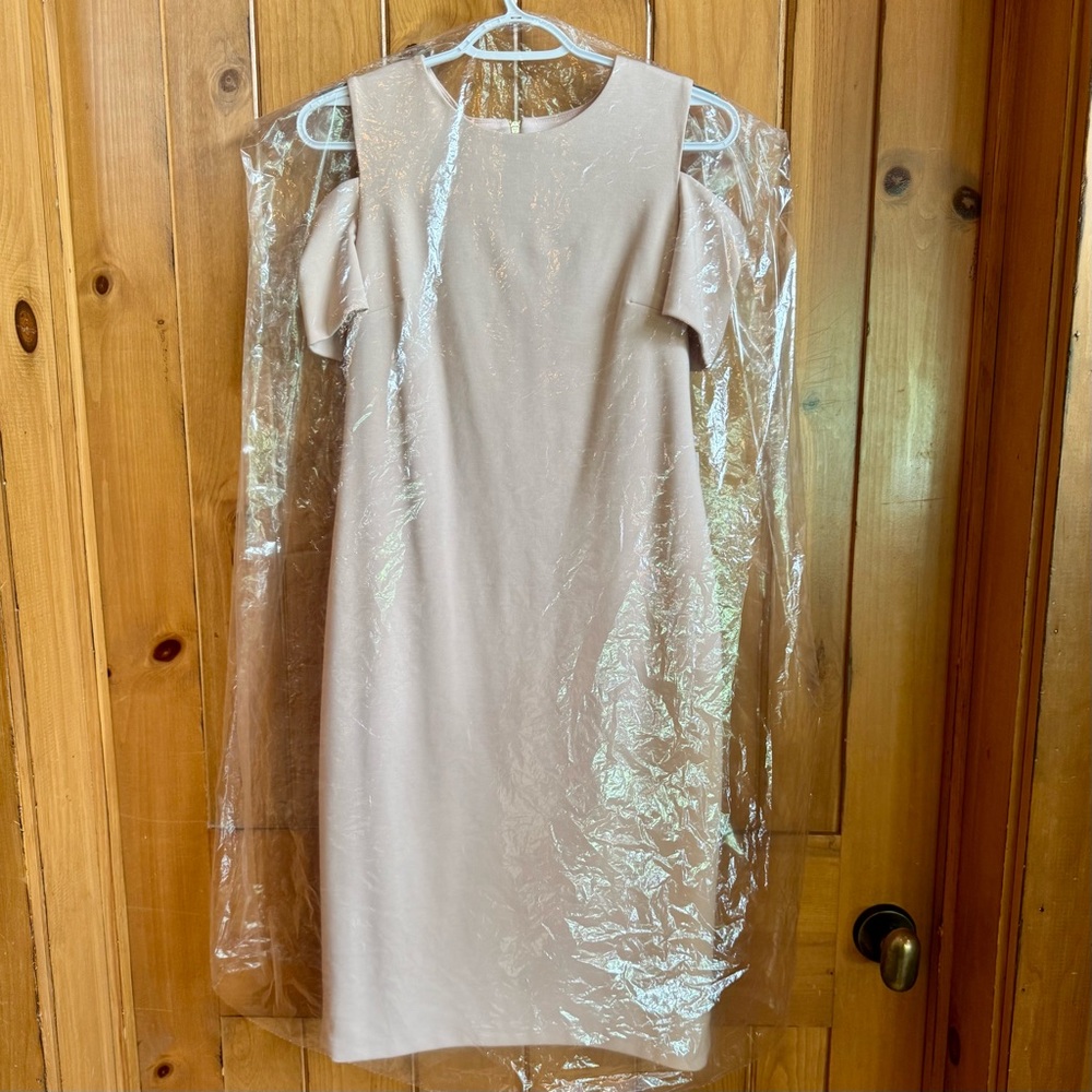 NWT Calvin Klein Cold-Shoulder Lined Sheath Dress Blush (8) - Picture 16 of 17